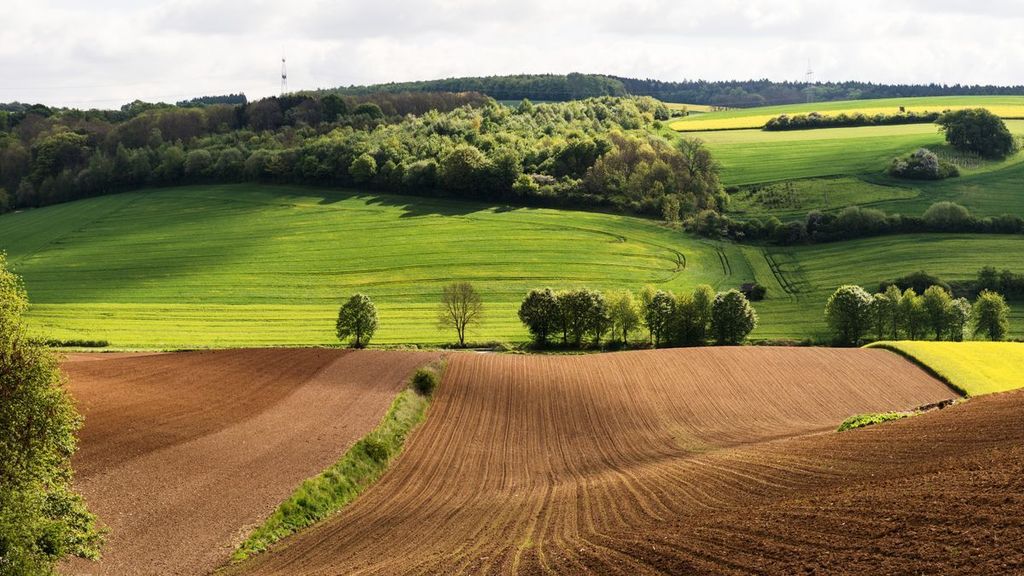 Agriculture