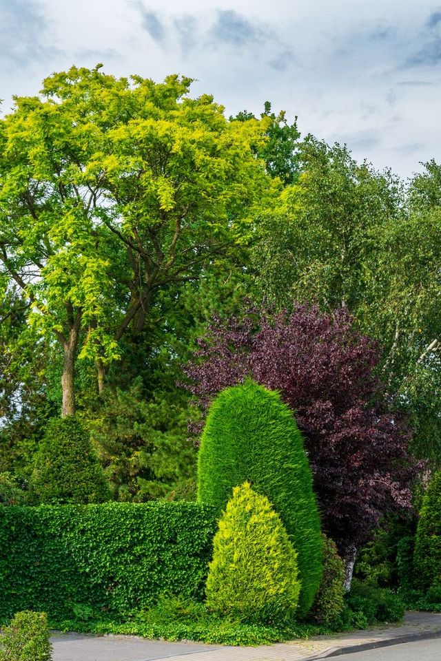 Landscaping